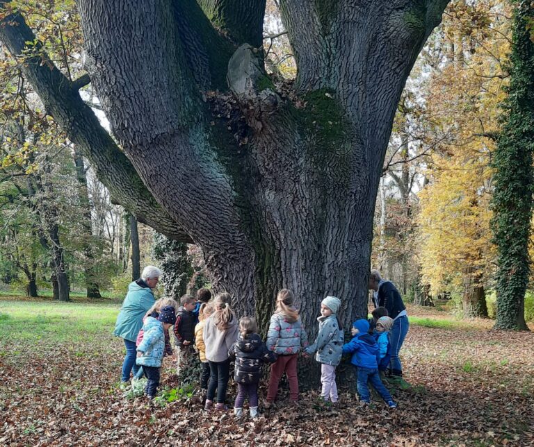 arborétumban