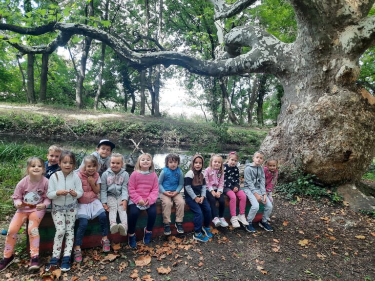 Szeptemberi havi beszámoló